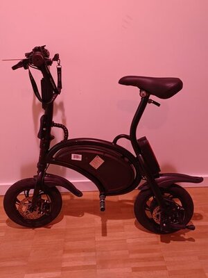 Draisienne électrique