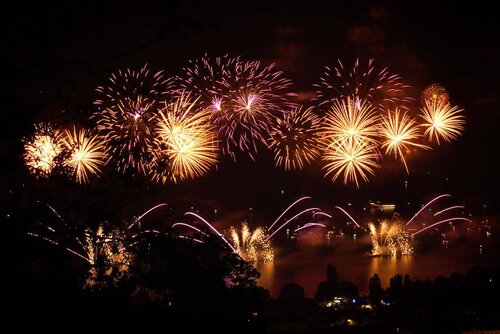 Des fleurs étoilées dans le ciel de Neuchâtel lors d'un récent 1er Août