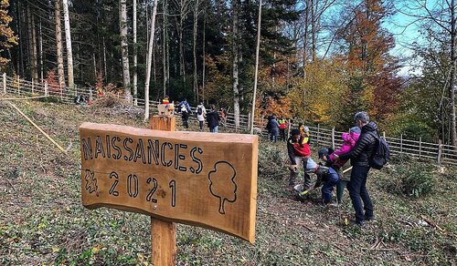 Des familles au travail dans la forêt de Corcelles