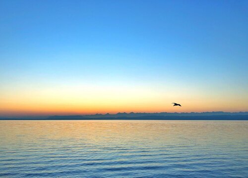 L'aube sur le lac de Neuchâtel