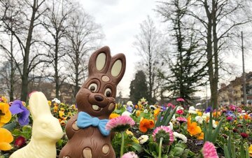 deux lapins en chocolat au Jardin anglais
