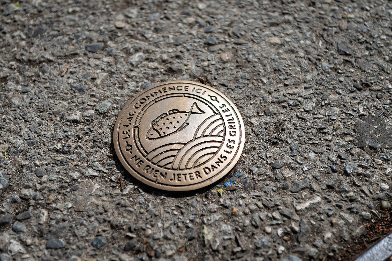 Un clou près d'une grille d'égout.