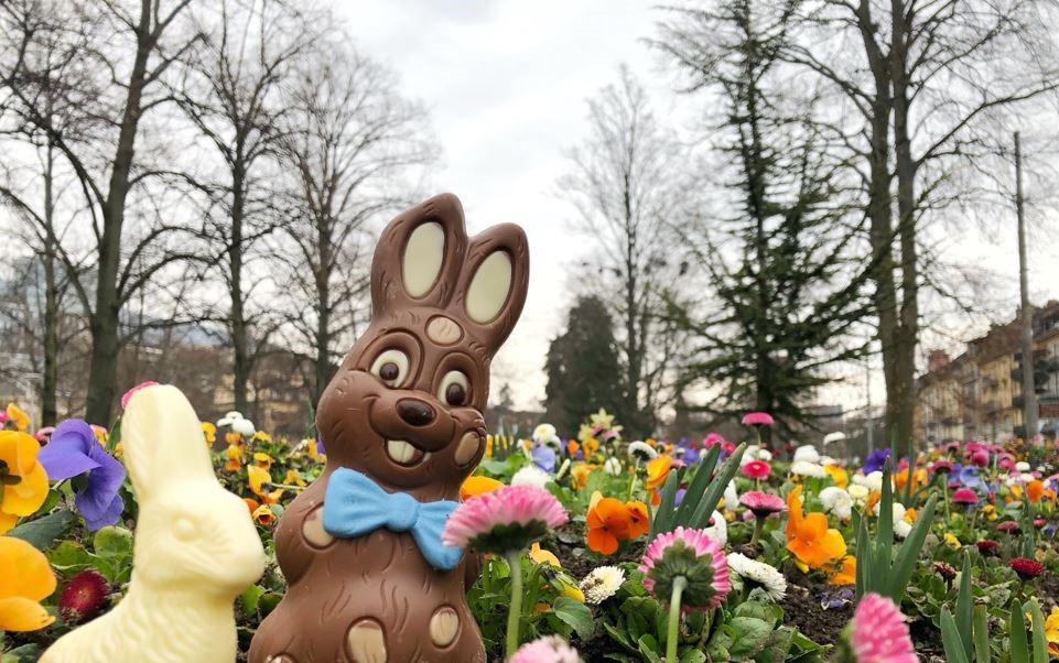 deux lapins en chocolat au Jardin anglais