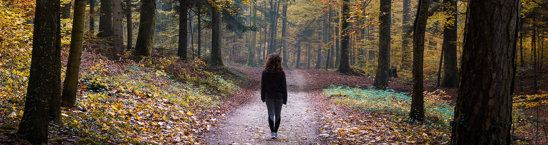 Une jeune femme se promène dans la forêt automnale