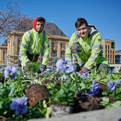 Le fleurissement au printemps
