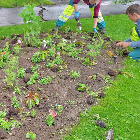 Ces coquines de corneilles!