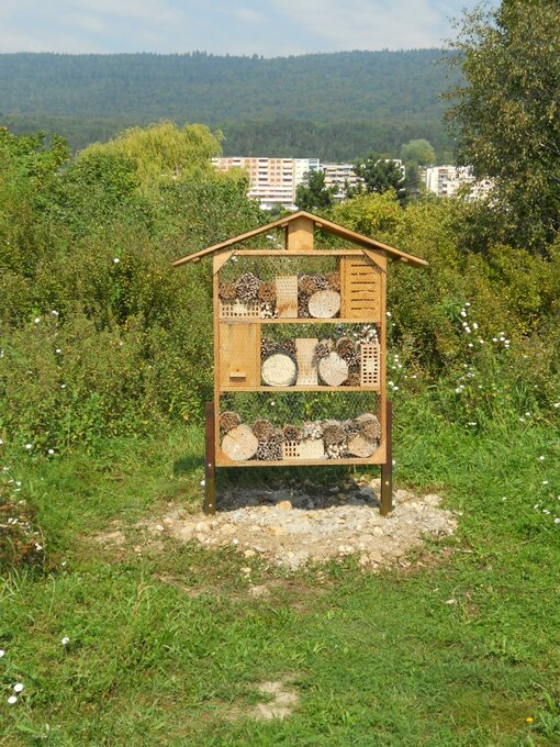 Un hôtel à insectes