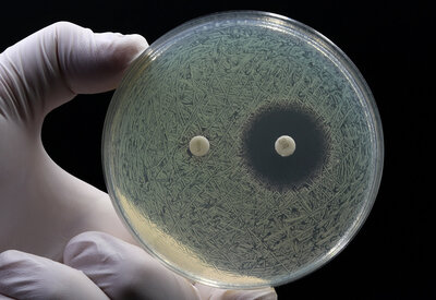 Quelles armes contre l’antibiorésistance?