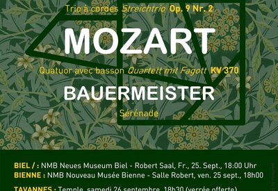 Pépites de Mozart, Beethoven et Bauermeister
