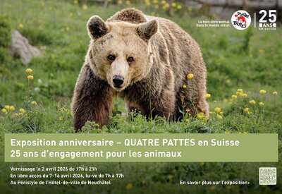 QUATRE PATTES en Suisse depuis 25 ans