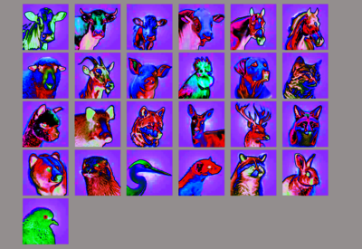 Clôture. Une exposition de Vincent Kohler