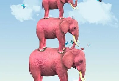 Eléphants roses & Cie