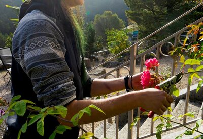 Tailler ? Si oui, comment ?