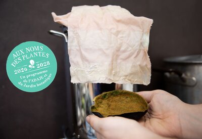 Atelier de batik : La poésie des plantes