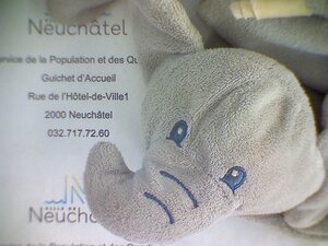 Doudou