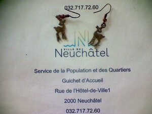 Boucles d'oreille