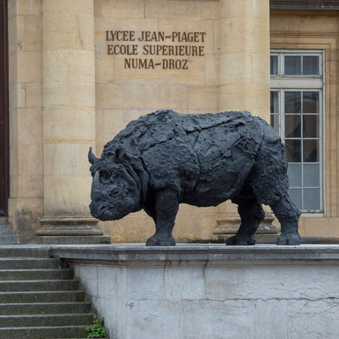 Le rhinocéros du Collège latin
